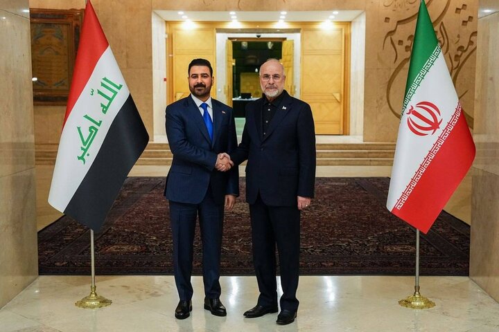 نخستوزیر عراق با رییس مجلس دیدار کرد
