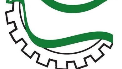  تامین اجتماعی؛ نبض امنیت اقتصادی کشور/ تاکید بسیج کارگران بر نقش راهبردی نظام رفاهی در پایداری تولید