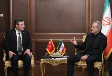 دیدار معاون رئیس جمهور ترکیه با رئیس جمهور؛ پزشکیان: از همکاری‌ها و حمایت‌های ترکیه در دوران جنگ قدردانی می‌کنیم