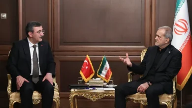 دیدار معاون رئیس جمهور ترکیه با رئیس جمهور؛ پزشکیان: از همکاریها و حمایتهای ترکیه در دوران جنگ قدردانی میکنیم