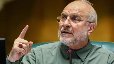 قالیباف در واکنش به ادعای ترامپ: به فکر سوء تغذیه ۴۰ میلیون نفر در آمریکا باش، مشکلات خود را به دیگران نسبت نده؛ ایران خودش درباره داراییهایش تصمیم میگیرد