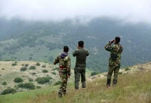 هر نفر به‌جای ۱۲ نفر کار می‌کند!