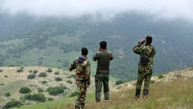 هر نفر بهجای ۱۲ نفر کار میکند!