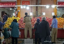 نحوه فعالیت میادین و بازارهای میوه و تره‌بار در روز دوشنبه ۱۵ تیر