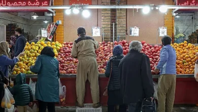 نحوه فعالیت میادین و بازارهای میوه و تره‌بار در روز دوشنبه ۱۵ تیر
