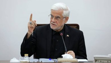 واکنش معاون اول رئیس‌جمهوری به مطالبه مجازات عاملان ترور رهبر شهید