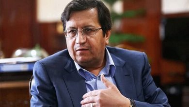 همتی: ایران به زودی عضو بانک بریکس می‌شود