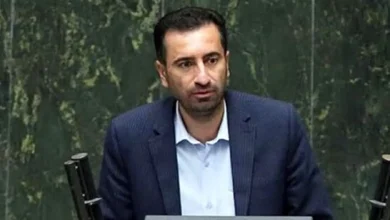 عضو کمیسیون اجتماعی مجلس: تقویت بنیه دفاعی، ضامن بازدارندگی و امنیت پایدار کشور است