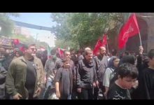 دستیار رهبری در پیاده روی جاماندگان اربعین + عکس