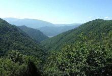 سرنوشت ۴ جوان گمشده در جنگل‌های تالش