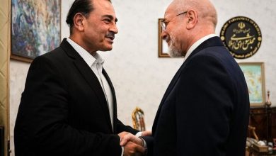 عاصم منیر چه پیامی از آمریکا برای ایران آورد؟/ عضو کمیسیون امنیت ملی مجلس: اینکه آمریکا می‌گوید ایران را با فشار اقتصادی زمین‌گیر می‌کنیم، حرف مفت است