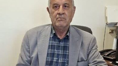رضایی: تغییر مدیرعامل تامین اجتماعی بدون تغییر رویکرد، دور باطل است