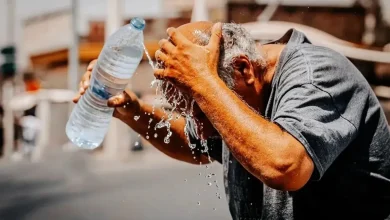 ۴۰ تا ۵۰ روز گرمای نسبی در راه است؛ تهران تا ۳۸ درجه گرم می‌شود