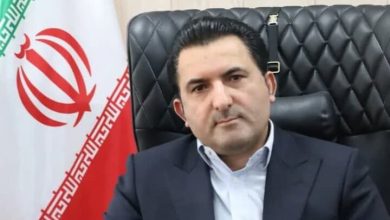 صادرات مرغ مشروط به تنظیم بازار داخلی شد/افزایش سهم مرغ در سبد خانوار
