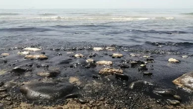 دادستان قشم فرمان مهار فوری آلودگی نفتی سواحل جزیره را صادر کرد