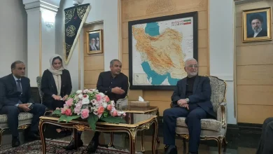 وزیر کشور پاکستان وارد تهران شد