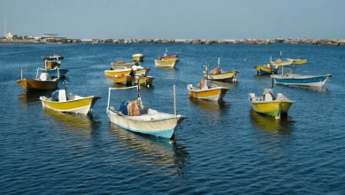بی‌خبری از ۹ صیاد بندرلنگه‌ای پس از پنج روز