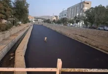 شرکت آب منطقه‌ای لرستان: عملیات آسفالت‌ریزی در بستر رودخانه الیگودرز که بدون مجوز انجام شده بود، تا تعیین تکلیف فنی متوقف شد/ شهرداری دلیل انجام این کار را تجمع لجن، زباله و ایجاد بوی نامطبوع اعلام کرده است