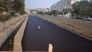 شرکت آب منطقه‌ای لرستان: عملیات آسفالت‌ریزی در بستر رودخانه الیگودرز که بدون مجوز انجام شده بود، تا تعیین تکلیف فنی متوقف شد/ شهرداری دلیل انجام این کار را تجمع لجن، زباله و ایجاد بوی نامطبوع اعلام کرده است