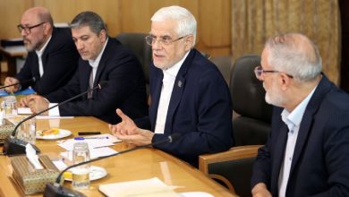 عارف: برخلاف تلاش دشمن برای اختلاف‌افکنی، حج و اربعین در یک راستا و مکمل یکدیگرند
