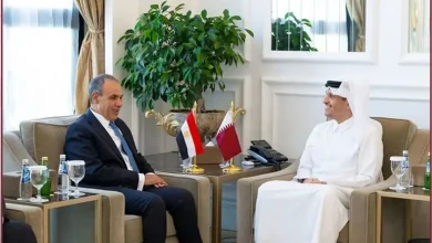 گفت‌وگوی وزرای خارجه مصر و قطر/ عبدالرحمن آل ثانی: اگر اروپا به کاهش تنش در خاورمیانه توجهی نداشته باشد، پیامد‌های آن دامن همه را می‌گیرد