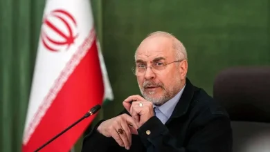 قالیباف: اگر مردم گرسنه باشند دوام نمی‌آوریم