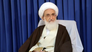 آیت‌الله نوری همدانی: حفظ وحدت و انسجام داخلی از ضروری‌ترین امور است