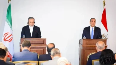 گفتگوی عراقچی با وزیر خارجه مصر درباره اجرای تفاهم‌نامه و مذاکرات میان عمان و ایران / دو طرف تلاش‌های جاری را برای «ایجاد محیطی مساعد برای کاهش تنش و بازگشت به مسیر دیپلماتیک» بررسی کردند