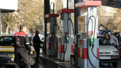 شرکت ملی پخش فرآورده‌های نفتی: افزایش ناگهانی تقاضا و ترافیک در مسیر‌های مواصلاتی که موجب تاخیر در ارسال محمولات سوختی شد، در مقطعی موجب اتمام بنزین در تعداد محدودی از جایگاه‌ها و توقف چند ساعته فعالیت آن‌ها شد