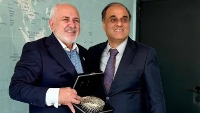 دیدار سفیر پاکستان در تهران با ظریف