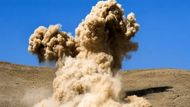شرکت برق درباره صدای انفجار در منطقه رضاشهر مشهد: یک پرنده با نشستن روی کاتد شبکه برق، باعث اتصال، ایجاد حادثه و تولید صدای بلند شد