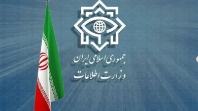 وزارت اطلاعات: ۳۰ لیدر آشوب‌های دی ماه در استان مرکزی شناسایی و دستگیر شدند
