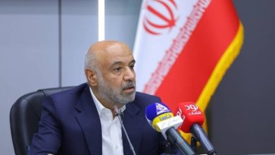 میدری: به‌جای فروش شرکت‌ها، مدیریت شستا را به بخش خصوصی می‌سپاریم