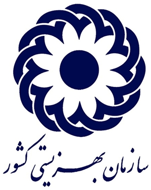 بسیجیان بهزیستی کشور: سکوت در برابر رنج معلولان غزه و فلسطین، قابل قبول نیست