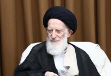 روایت رئیس دفتر مقام معظم رهبری در قم از وضعیت جسمانی آیت‌الله شبیری زنجانی/ مشکل اصلی ایشان عفونت ریه است