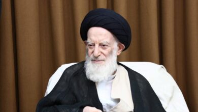 آیت الله شبیری زنجانی در بیمارستان بستری شد