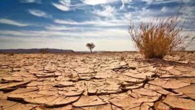 هشدار جدی درباره خشکسالی/ سخنگوی صنعت آب: بارشهای النینو بدهی آبخوانها را جبران نمیکند