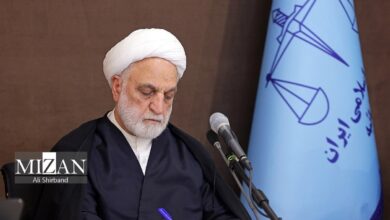 رئیس قوه قضاییه پیام تسلیت داد / اژه‌ای: آیت‌الله شبیری زنجانی از نگهبانان میراث اصیل تشیع بودند