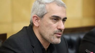وزیر اقتصاد: دشمنان ملت ایران درصدد ایجاد اختلال در خدمات‌رسانی عمومی بودند