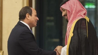 قاهره: رئیس‌جمهور مصر و ولیعهد عربستان پیش از آغاز نشست مذاکرات گسترده، دیداری غیرعلنی برگزار کردند / دو طرف درباره تضمین آزادی کشتیرانی در تنگه هرمز و باب‌المندب توافق کردند