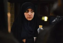 اگر گفته می‌شود لایحه حجاب قابلیت اجرایی ندارد، به این دلیل است که بخش‌هایی از آن می‌تواند همه چیز را به هم بریزد؛ مثلاً راننده تاکسی اینترنتی باید به مسافر خود تذکر بدهد، دوربین‌های مغازه در اختیار دیگران قرار بگیرد، کافه یا فروشگاه بسته شود