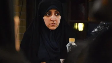 اگر گفته می‌شود لایحه حجاب قابلیت اجرایی ندارد، به این دلیل است که بخش‌هایی از آن می‌تواند همه چیز را به هم بریزد؛ مثلاً راننده تاکسی اینترنتی باید به مسافر خود تذکر بدهد، دوربین‌های مغازه در اختیار دیگران قرار بگیرد، کافه یا فروشگاه بسته شود