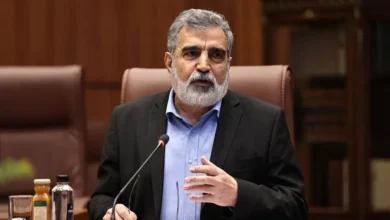 سخنگوی سازمان انرژی اتمی: ایران گزینه‌های زیادی برای دفاع از خود دارد / فارغ از اینکه آنها چه میزان فشار بر ما وارد کنند، ما بر این وضعیت غلبه خواهیم کرد