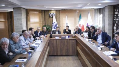مدیر عامل تامین اجتماعی: باور دارم بازنشستگان شرکای کلیدی ما هستند