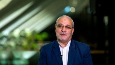 حاجی‌دلیگانی: استیضاح وزرای کشاورزی و امور خارجه در دستور کار مجلس قرار گیرد۰