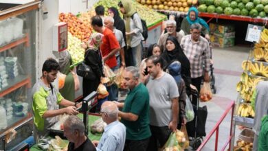 دزدی موز و پسته در میادین تره‌بار تهران؛ خسارت چندمیلیونی و گلایه از قیمت‌ها / «چند کیلو میوه هم می‌تواند خسارت میلیونی داشته باشد»