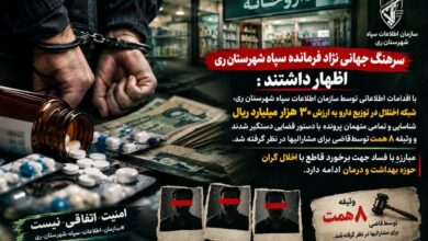 شناسایی شبکه اختلال در توزیع دارو به ارزش ۳ هزار میلیارد تومان در شهرستان ری