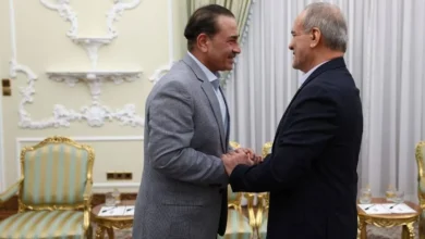 دیدار و رایزنی عاصم منیر با پزشکیان
