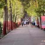 تعطیلی باشگاه انقلاب به دلیل موضوع حجاب