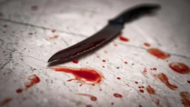 جزئیات جدید از درگیری خونین در باغ فیض تهران